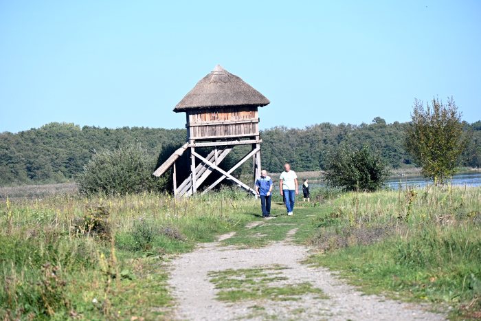 DSC_3997.JPG