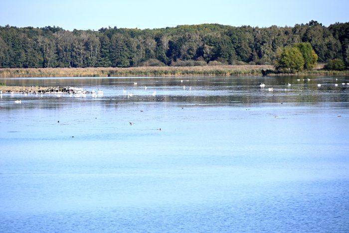 DSC_4001.JPG