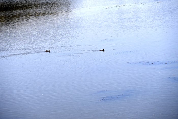 DSC_4019.JPG